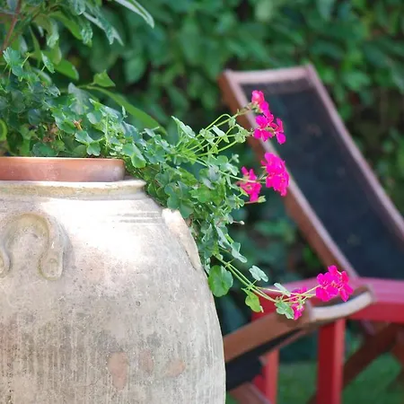 Couette-café Fiore *